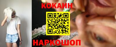 jwh Бийск