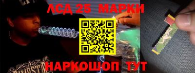 jwh Бийск