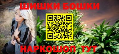 jwh Бийск