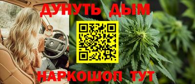 jwh Бийск