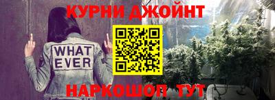 jwh Бийск