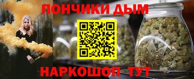 jwh Бийск