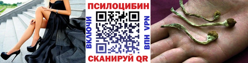 Псилоцибиновые грибы Magic Shrooms  блэк спрут ONION  Йошкар-Ола 