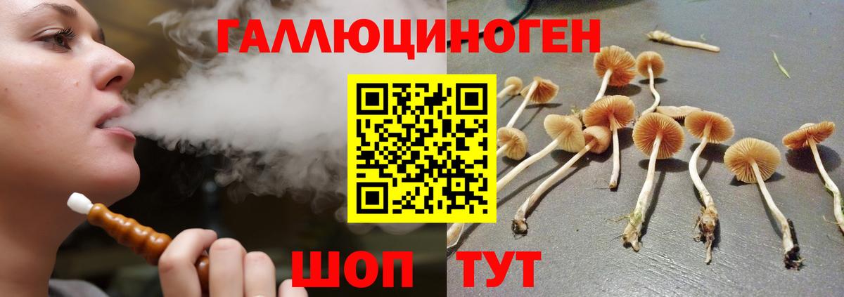 Псилоцибиновые грибы ЛСД  Вход с VPN  Псилоцибиновые грибы Psilocybe  Йошкар-Ола 