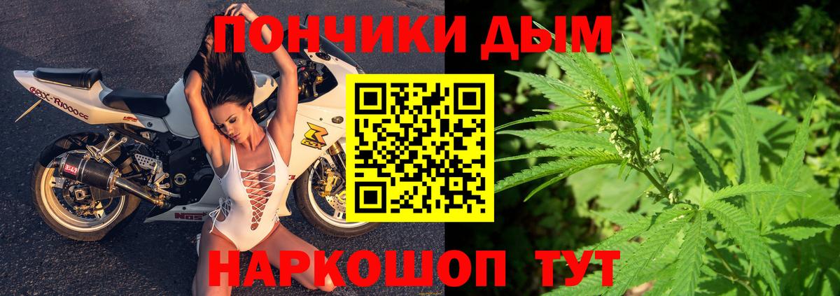 Конопля сатива Йошкар-Ола